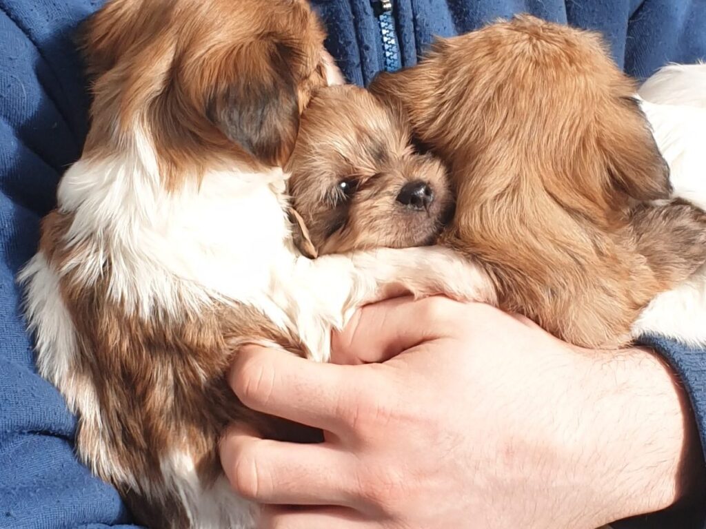 Jeder mit Jedem, schon immer haben alle mitgemacht